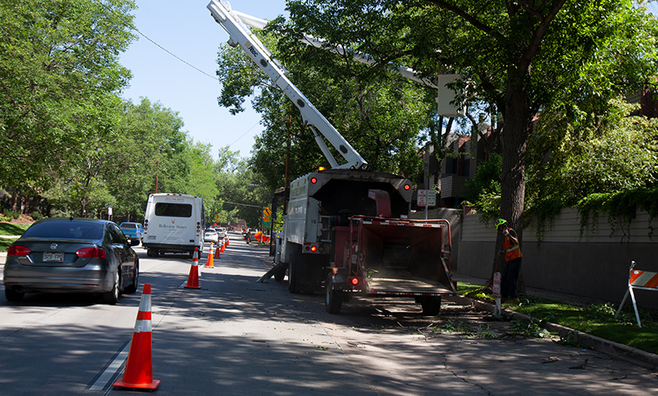 partial road closure for tree service