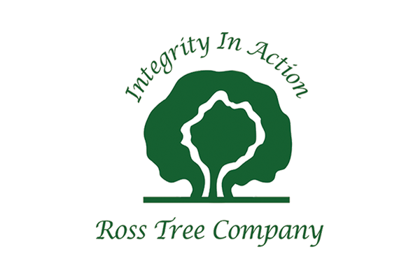 professional tree service company