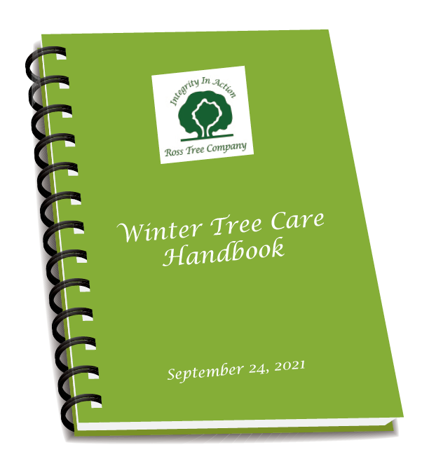 Winter Tree Care Handbook