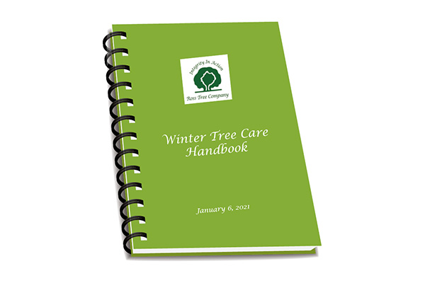 winter tree care in Englewood