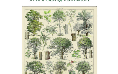 Winter Tree Care Handbook