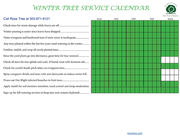 Winter tree service calendar Denver