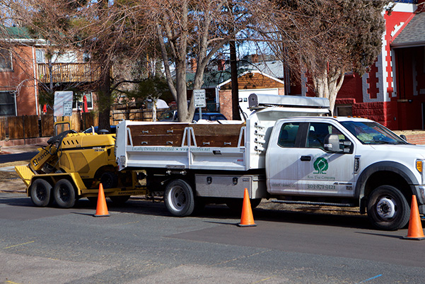 Stump removal service Denver
