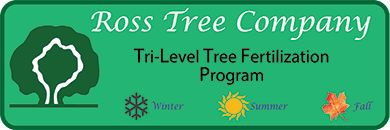 Ross Tree tri-level tree fertilization