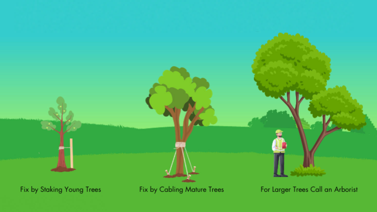 fixing a leaning tree