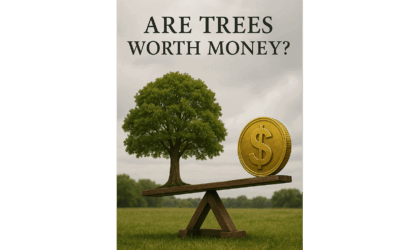 Are Trees Worth Money?