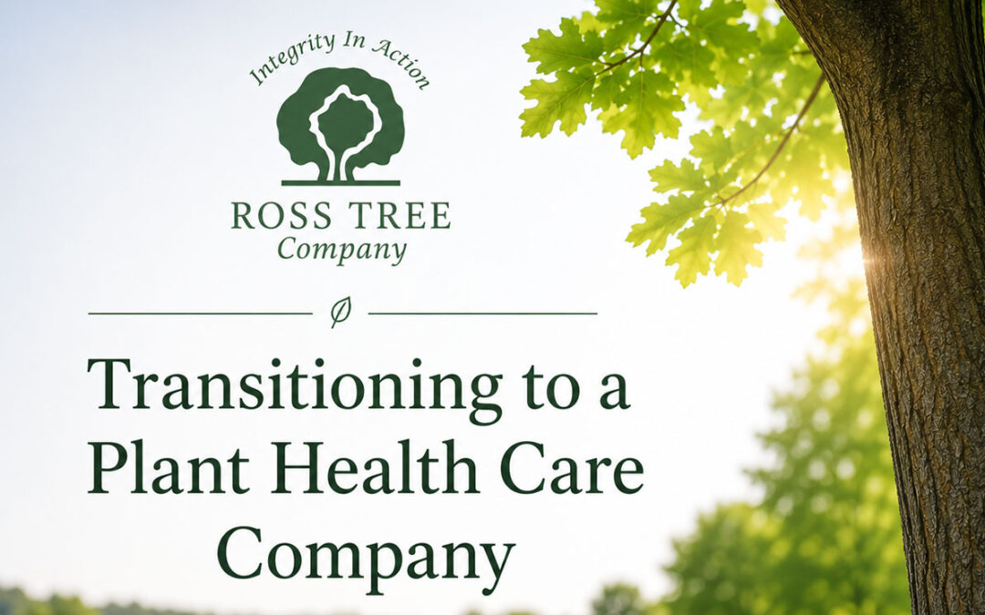 Transitioning from Tree Service to a Plant Health Care Company