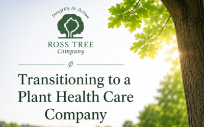 Transitioning from Tree Service to a Plant Health Care Company