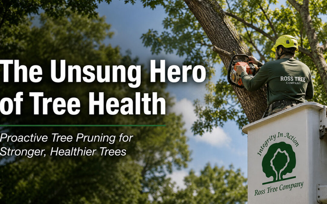 The Unsung Hero of Tree Health – Proactive Tree Pruning