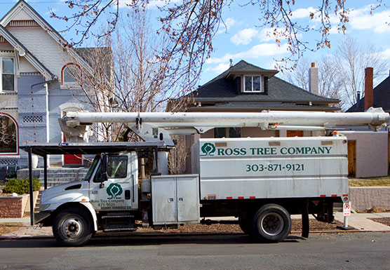 Ross Tree Company bucket truck