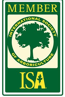 ISA Member