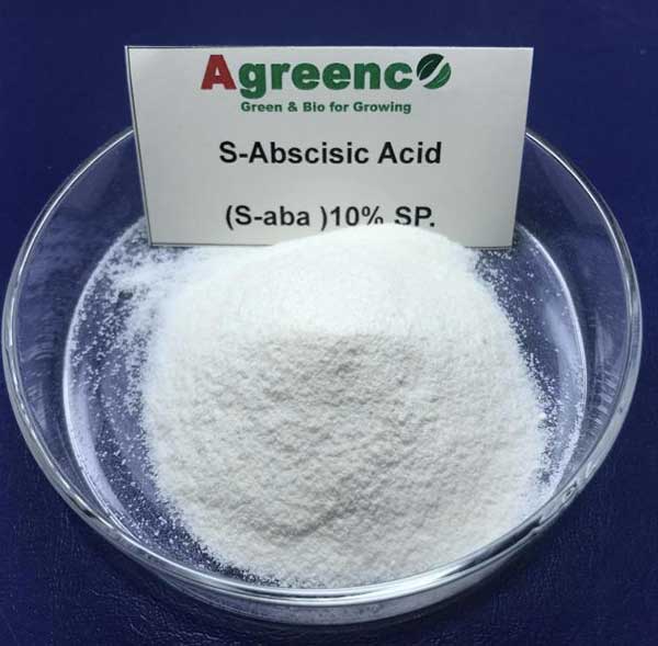 Abscisic Acid