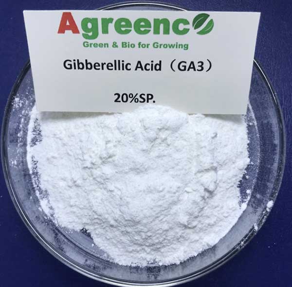 Gibberellic