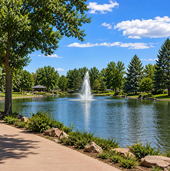 Northglenn-tree-service-chatgpt Northglenn tree service