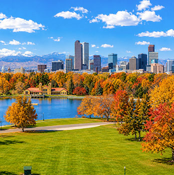 denver-tree-services-chatgpt Denver tree and plant service company